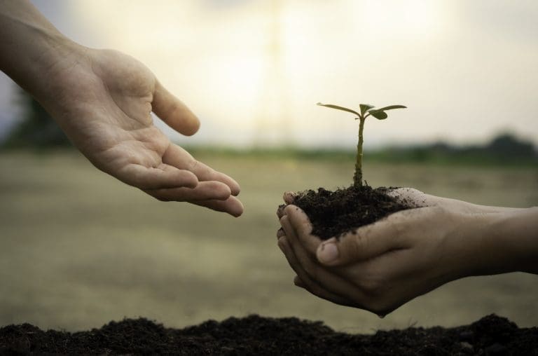 young-man-gardener-planting-tree-in-garden-garde-2023-11-27-05-02-03-utc